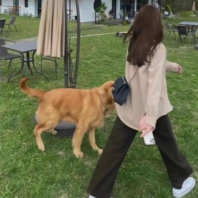 春色一箩筐